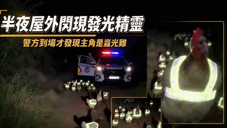 深夜屋外驚見成群「發光小怪物」 ！西班牙女子嚇到報案鬧出爆笑烏龍的封面圖片