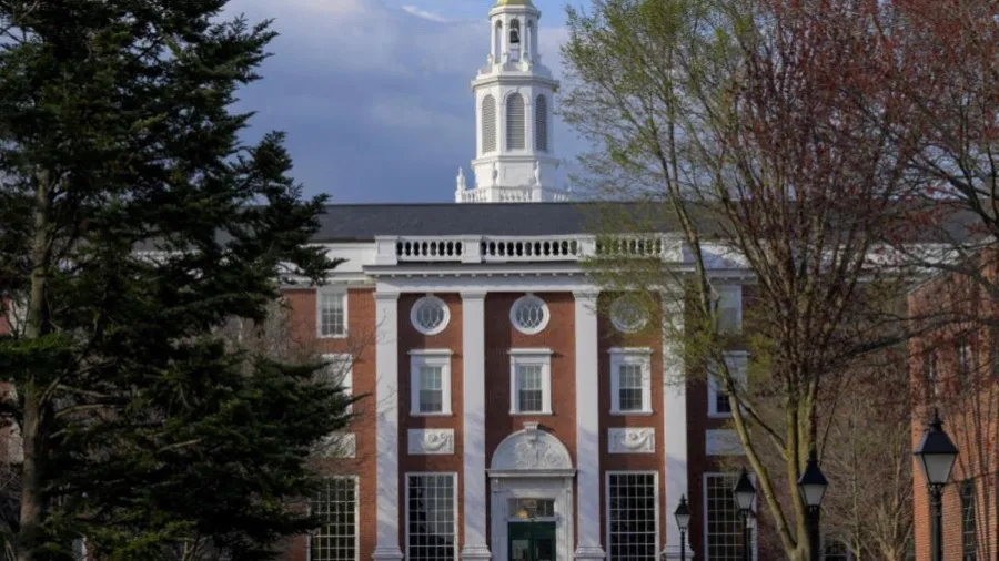 哈佛簽證之亂  l  美國恢復處理哈佛國際學生簽證的封面圖片