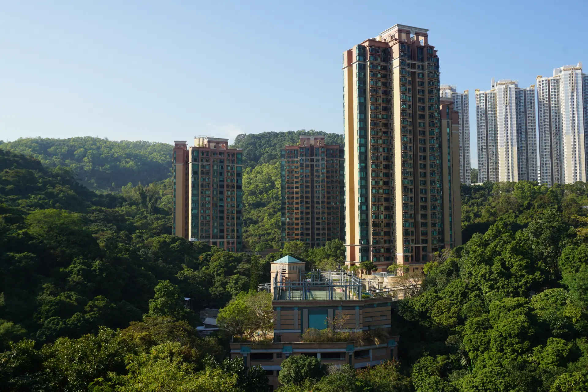 據公布，今次新增本地個案涉及一名 45 歲男性患者，居於青衣曉峰園，日常在上環工作。該患者過去三個月並無外遊記錄，符合本地個案判定標準，目前情況穩定。(圖：維基百科)