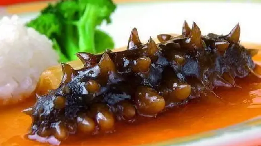 2025突破性發現，海參天然糖讓癌癥擴散「止步」！的封面圖片