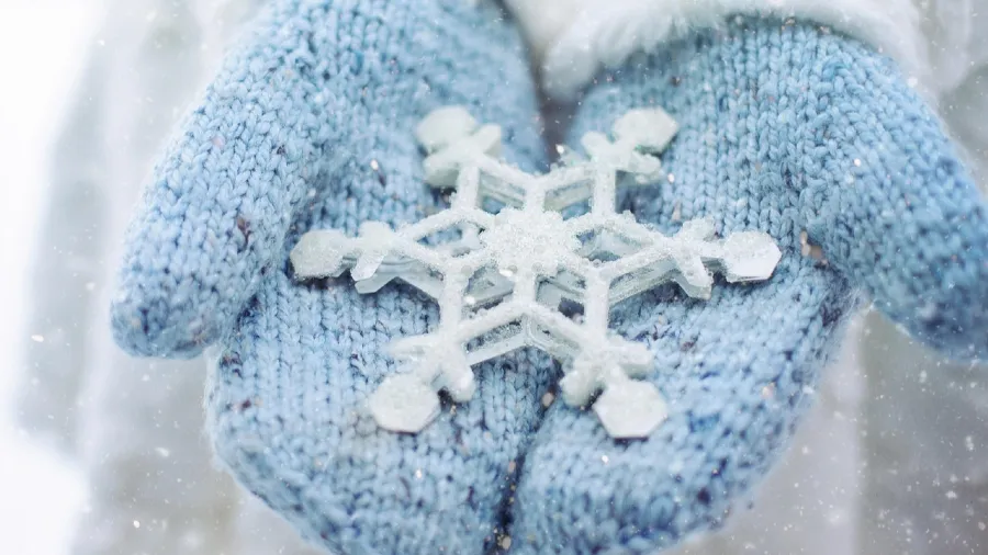 為何每一片雪花都是獨一無二的？的封面圖片