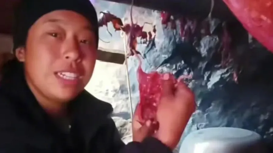 35天吃50隻老鼠瘦14公斤！東北姑娘海島求生，賺錢減肥兩全其美的封面圖片