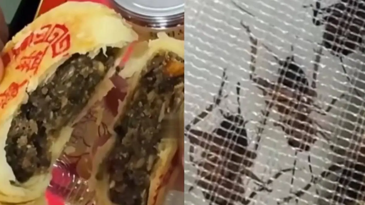 業者介紹，產品採用人工養殖的蟋蟀，經過嚴格清洗、高溫烘乾後磨成細粉，再與傳統的五仁餡料及黑芝麻充分混合製作而成。(圖： 網絡翻攝)