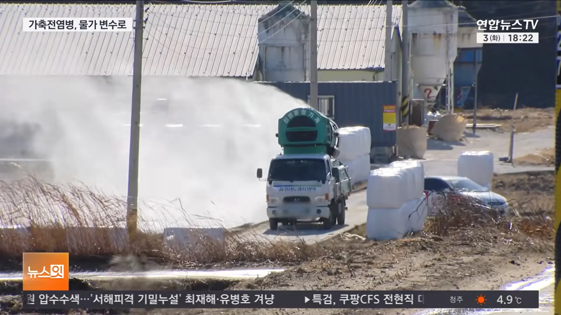 南韓畜牧業遭遇口蹄疫、高病原性禽流感、非洲豬瘟（ASF）齊發危機，今年檢出與野豬樣本不同基因型的非洲豬瘟病毒株，疫情快速擴散，防疫形勢極為嚴峻。 （來源：연합뉴스TV@YouTube）