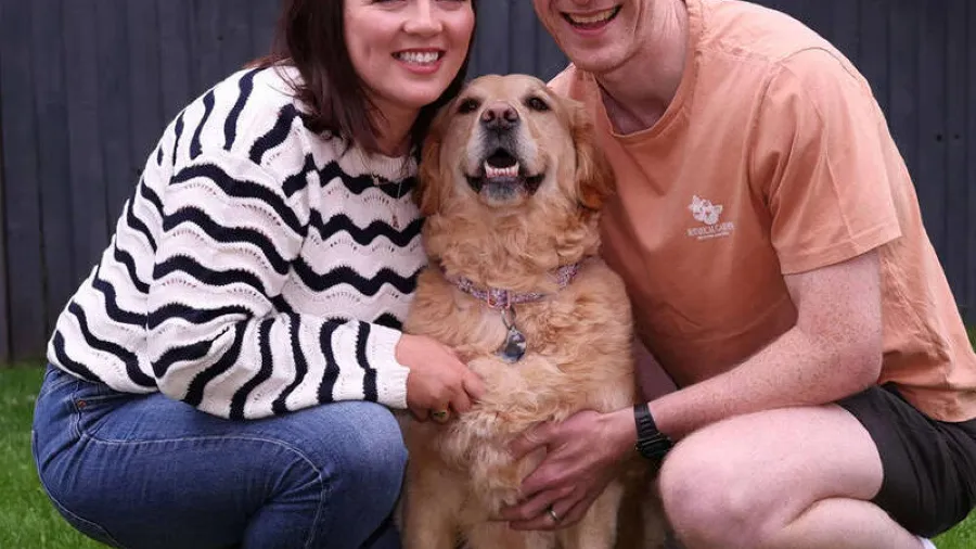 主人心臟驟停6分鐘幸得愛犬狂吠拉回鬼門關，黃金獵犬獲封「CPR英雄」！的封面圖片