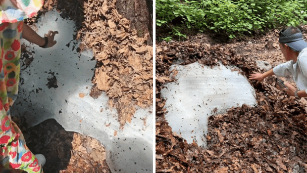 遼寧大冰溝景區現夏日不化冰，34℃高溫下仍刺骨。因特殊地形、海拔及氣候形成，從冬天留存至今。游客專程來摸冰，帶火住宿，成熱門話題。（來源：一个菇凉！@抖音）