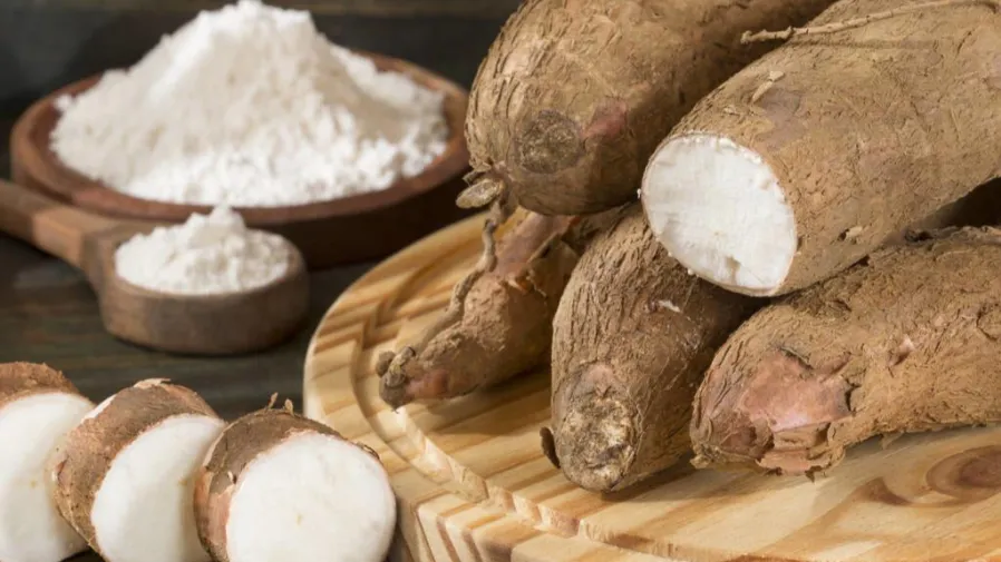 含毒致命的木薯，為何成為8億人的餐桌主食？的封面圖片