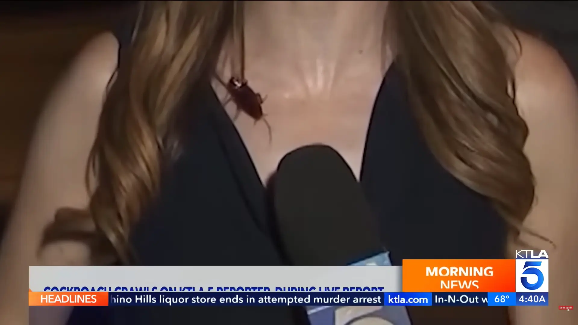 美國洛杉磯KTLA 5女記者直播報導高溫熱浪時，一隻飛天巨蟑爬上肩頸、停駐麥克風，她全程鎮靜完成連線。事後坦言克制恐懼不易，影片瘋傳，網友大讚超專業，文末簡解夏季飛蟑出沒與人懼蟑成因。（來源：KTLA 5@YouTube）