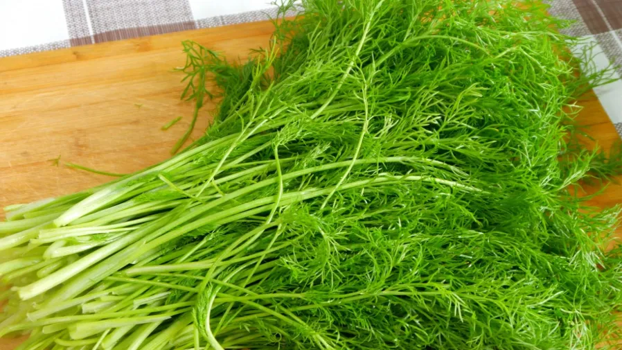 長輩私藏的抗寒秘訣?原來「天然青霉素」就藏在菜攤裡的封面圖片