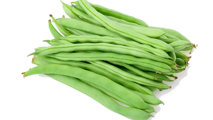 夏季養脾胃靠什麼？從《食療本草》找找四季豆的食養祕訣！的封面圖片