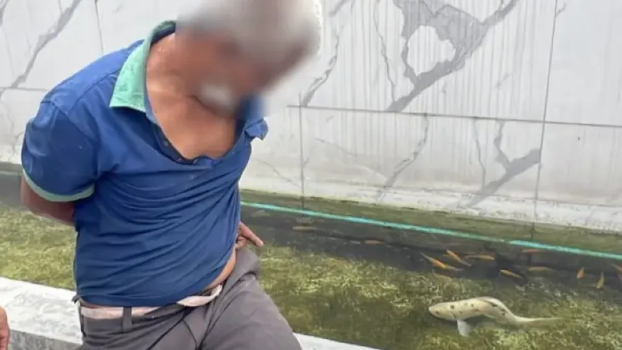 泰國男闖私宅性侵錦鯉！不只戀魚還曾性侵母狗入獄的封面圖片