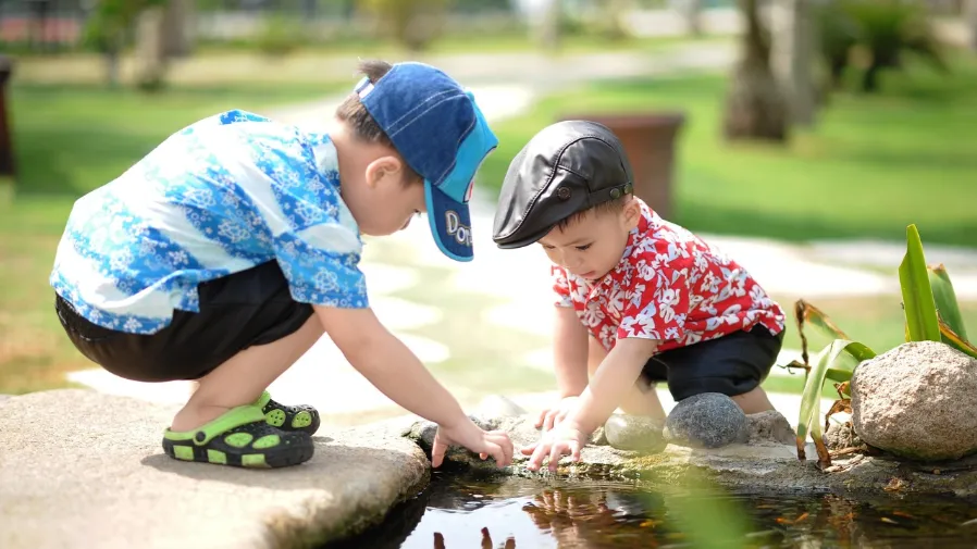 出生順序真的會影響智商性格？科學研究推翻你的固有認知的封面圖片