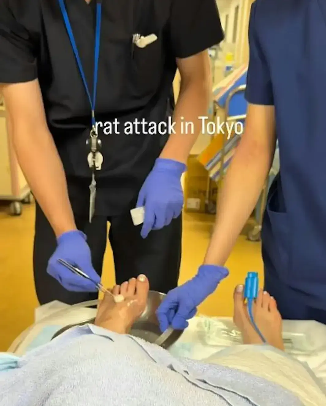 她隨即報警並送院，醫護人員為其注射抗生素，治療近一小時才離院。令她驚訝的是，醫生得知傷情發生在新宿時並不意外，可見當地鼠患早已成常態。​（圖：yogitutty@IG）