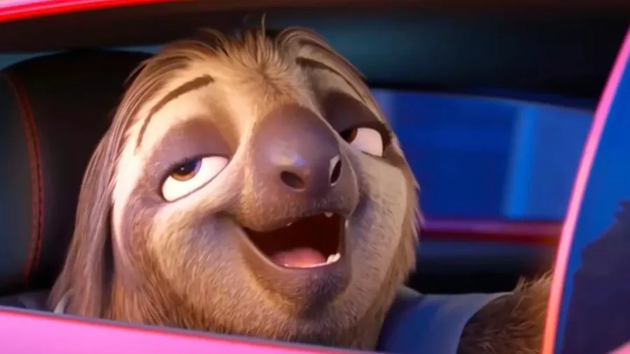 原來瘋狂動物城的閃電才是生存大師！樹懶慢生活藏千萬年祕笈的封面圖片