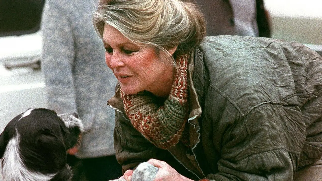 息影後的碧姬芭杜長期定居於法國南部聖特羅佩的里維埃拉度假勝地附近，行事低調的她全心投入動物保護工作，並於 1986 年創立碧姬芭杜基金會。(圖：網絡截圖)