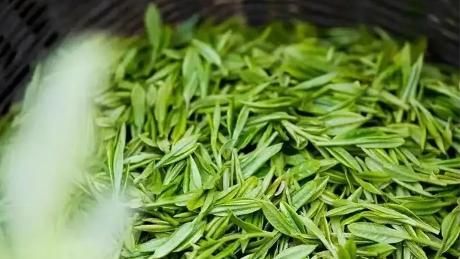 明前茶比油還貴？揭秘中國茶圈「貴價天花板」的真相的封面圖片