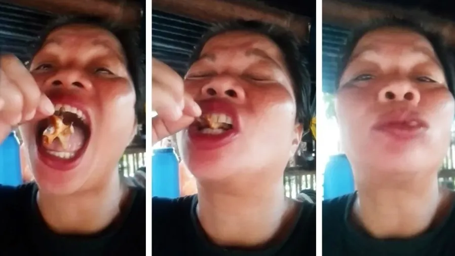 外表艷麗的螃蟹竟是致命毒王？菲律賓美食網紅誤食後慘遭奪命！的封面圖片