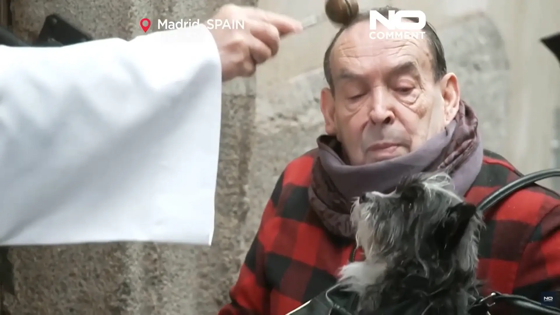 馬德里的貓狗皆以聖水受福。（來源：No Comment TV@YouTube）