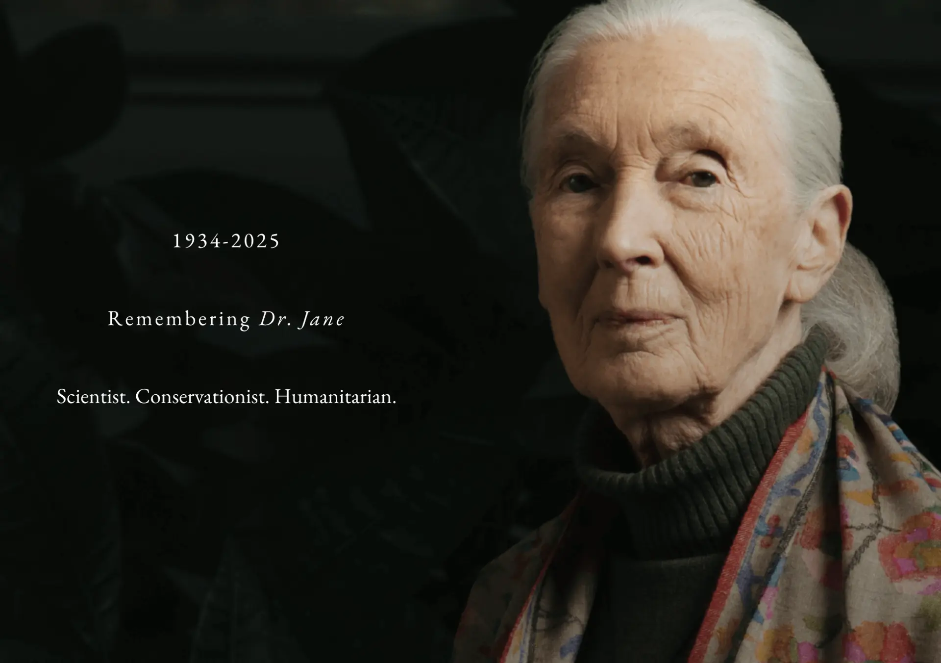 珍古德 1934 年出生於英國倫敦。1960 年，26 歲的她首次踏上坦桑尼亞的土地，在貢貝溪國家公園開始了對野生黑猩猩的研究。(圖：古德研究會官方網站)