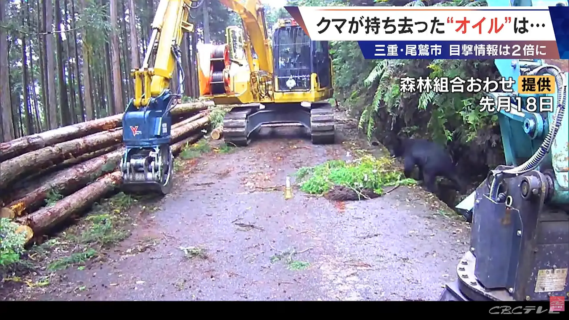 日本三重縣尾鷲市監控拍到黑熊偷走裝有植物性鏈鋸油的寶特瓶，還多次折返工地。當地熊目擊案件倍增，專家研判熊被植物氣味吸引，縣府也成立專組強化防熊措施。（來源：CBCニュース【CBCテレビ公式】@YouTube）