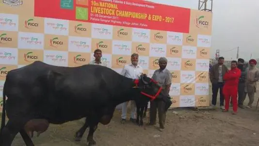 尤瓦傑（Yuvraj）參加活動。（來源：網絡）