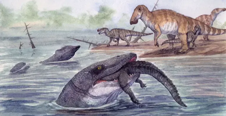白堊紀晚期海洋霸主滄龍，為適應美國西部內陸海道淡化環境，逐漸遷入淡水棲息覓食，雖展現超強環境適應力，仍在6600萬年前滅絕事件中落幕。（來源：Uppsala University）