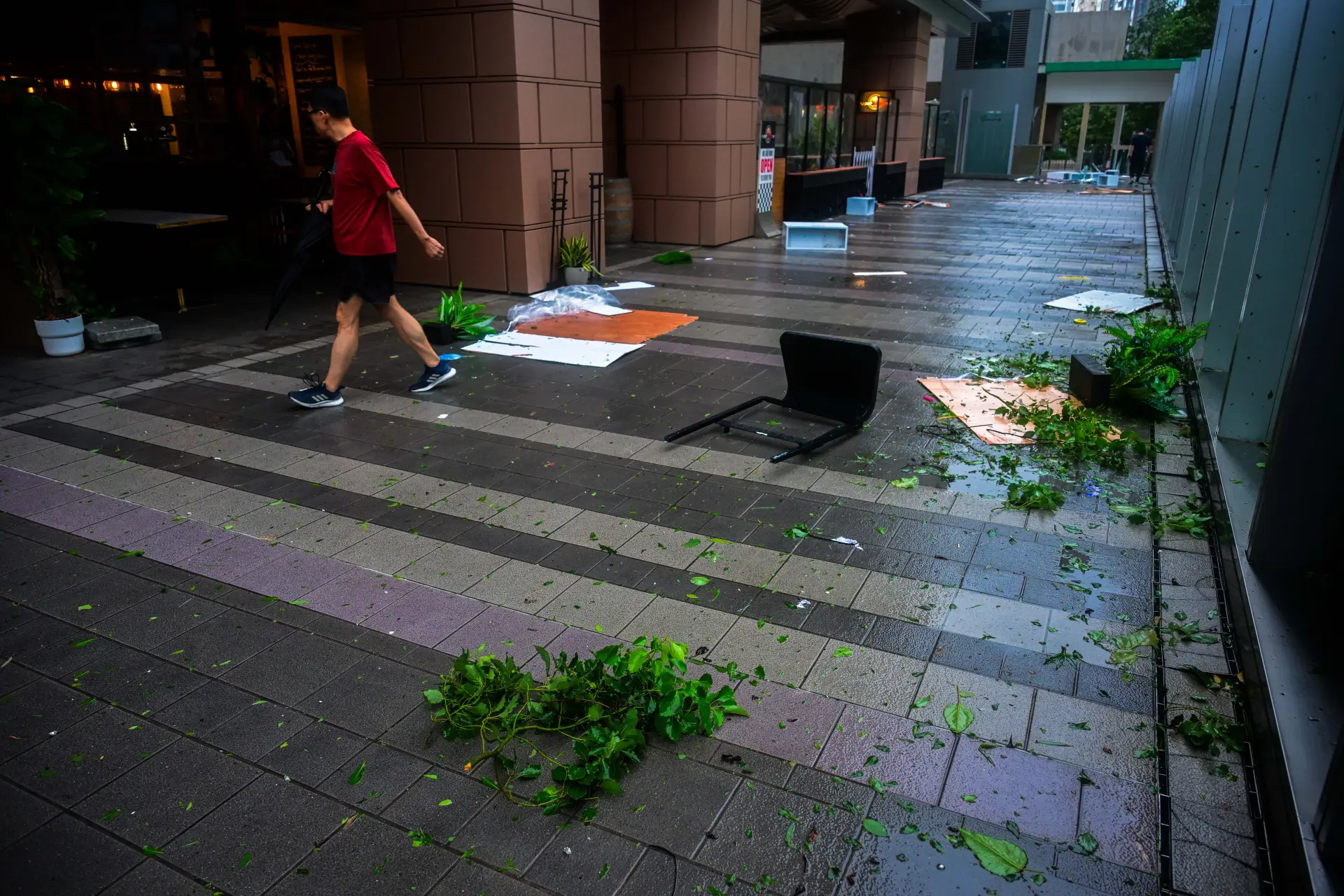 教育局宣布所有學校周二及周三停課；康文署即時加固及修剪有倒塌危險的樹木。(圖： 新華社)