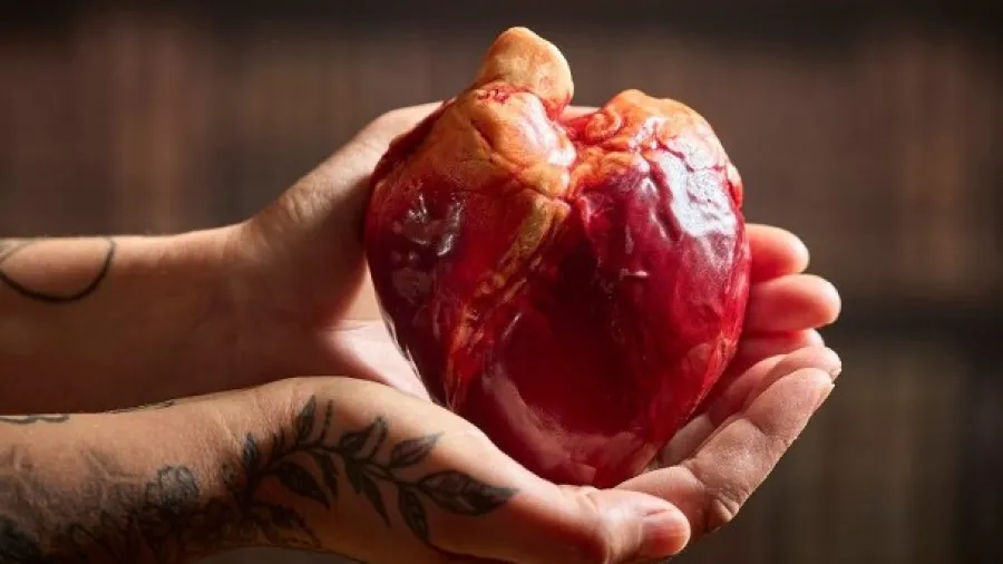 能吃的骷髏、心臟？英國藝術家竟用朱古力做影視恐怖道具！的封面圖片