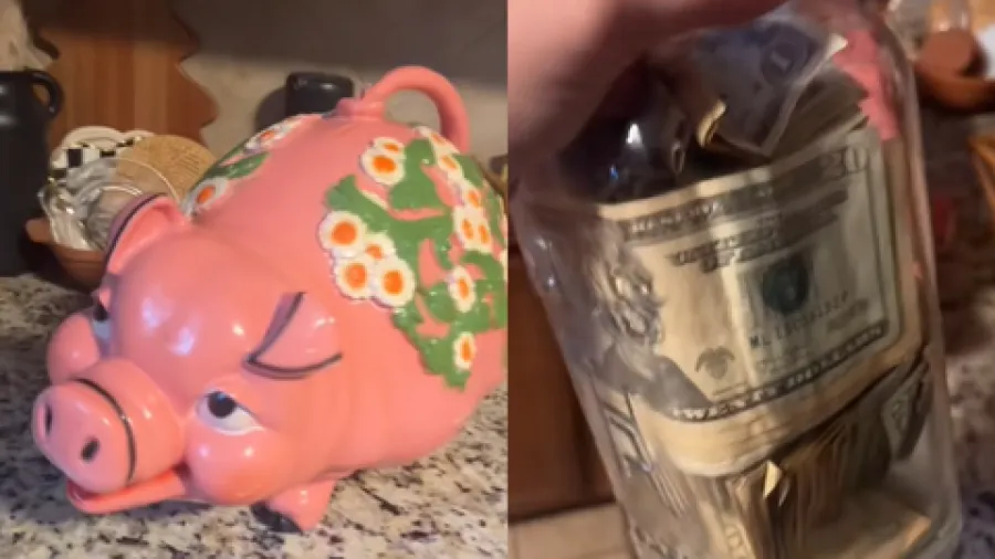 醜萌小豬藏黃金！10.99美元買的存錢罐，竟讓美國女子狂賺兩千美元的封面圖片
