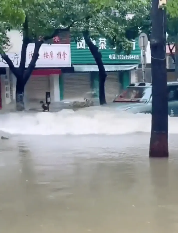 珠海男颱風天駕越野車玩水造浪顯擺 網絡圖片