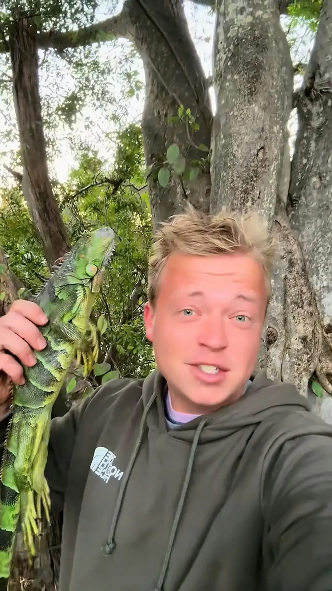 網紅Gray Davis撿到一隻，將其及體內卵做成Taco上傳TikTok，引網友強烈爭議。（來源：gray.davis@TikTok）