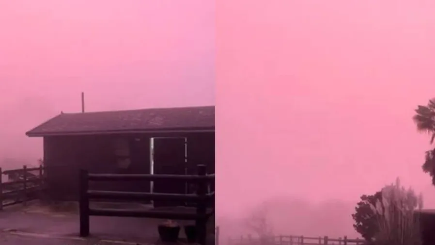 哇！英國清晨天降「粉紫迷霧」，整座城市秒變夢幻仙境的封面圖片