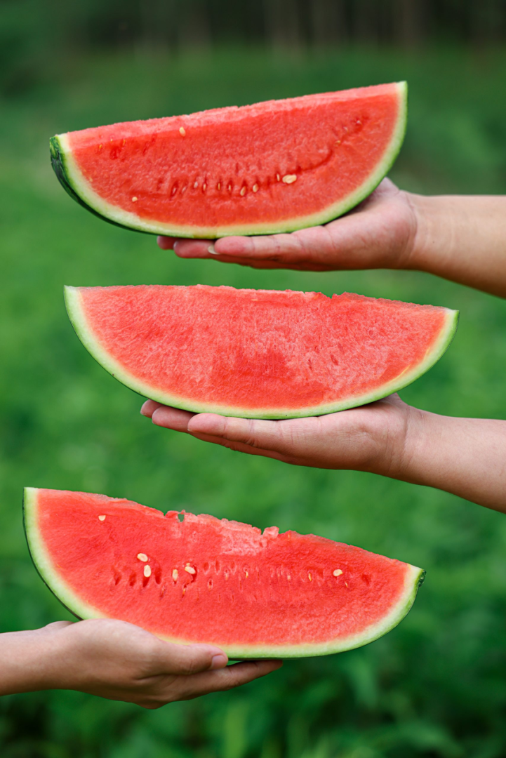 第一名居然是江蘇東台的西瓜！（來源：guo-xia）