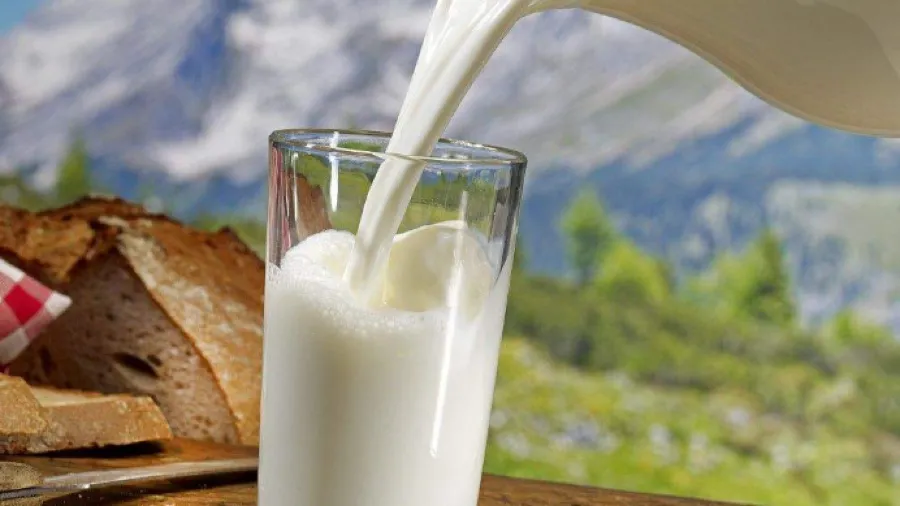 為何有的牛奶能放一年，有的卻要趕緊喝？的封面圖片