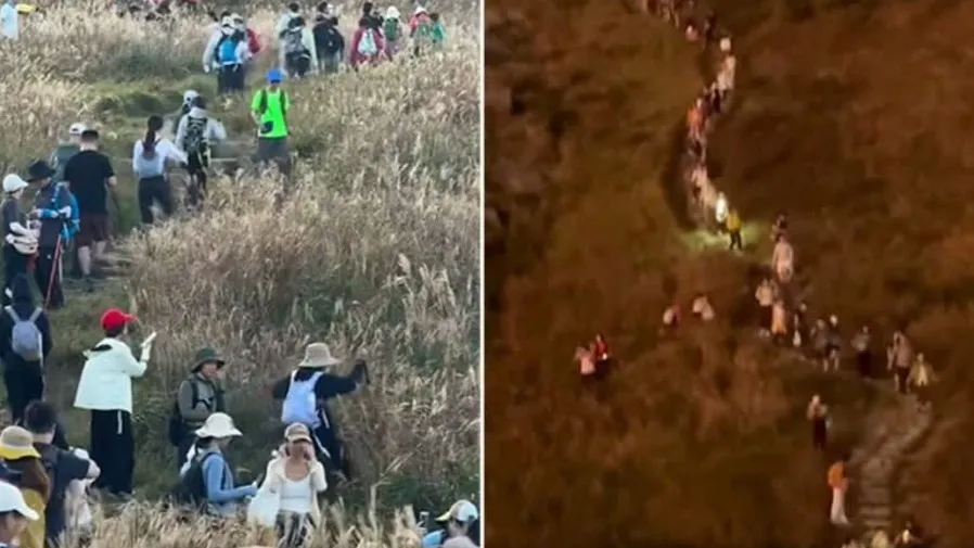 大東山淪陷｜芒草季「難民山」再現 漁護署提早部署巡邏  跳板石人潮如鯽的封面圖片