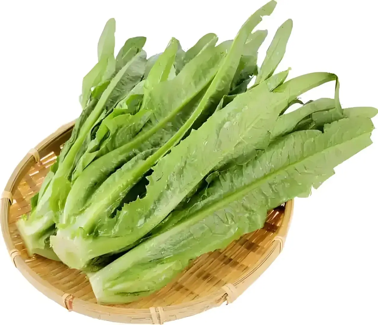 油麥菜屬於菊科萵苣屬，葉片翠綠薄嫩、菜梗脆爽，帶有淡淡的清甜味，是粵菜裡常見的配菜，無論清炒還是搭配豆豉鯪魚，都是餐桌上的「解膩神器」，也是很多人去粵菜館必點的家常菜。（示意圖來源：pixabay） 