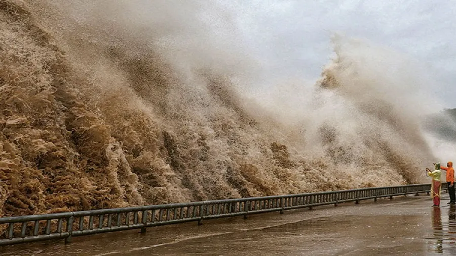 颱風白海豚襲擊華東！上海浦東虹橋兩機場近四成航班取消，943架次進出港受影響的封面圖片