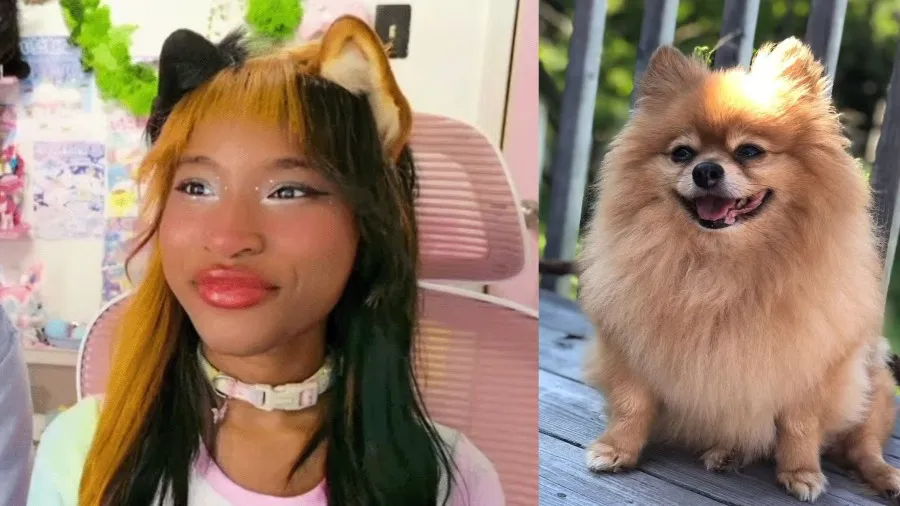 美國女子自認「博美犬」還與戀人玩互動遊戲,這樣的生活竟充滿快樂?的封面圖片