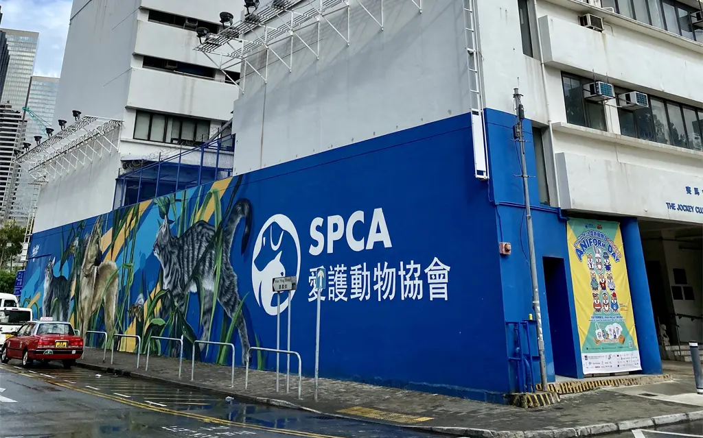 負責現場動物搜救的愛護動物協會（愛協）最新數據顯示，截至昨晚10時55分，記錄到的受影響動物總數達339隻。令人欣慰的是，當中有136隻動物已確認生還，但仍有45隻不幸離世。(圖：網絡截圖)