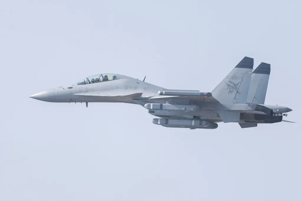 日本智庫的戰略專家指出，殲-15戰機雷達系統已持續進行大幅更新與升級。圖為殲-15D。（中新社）