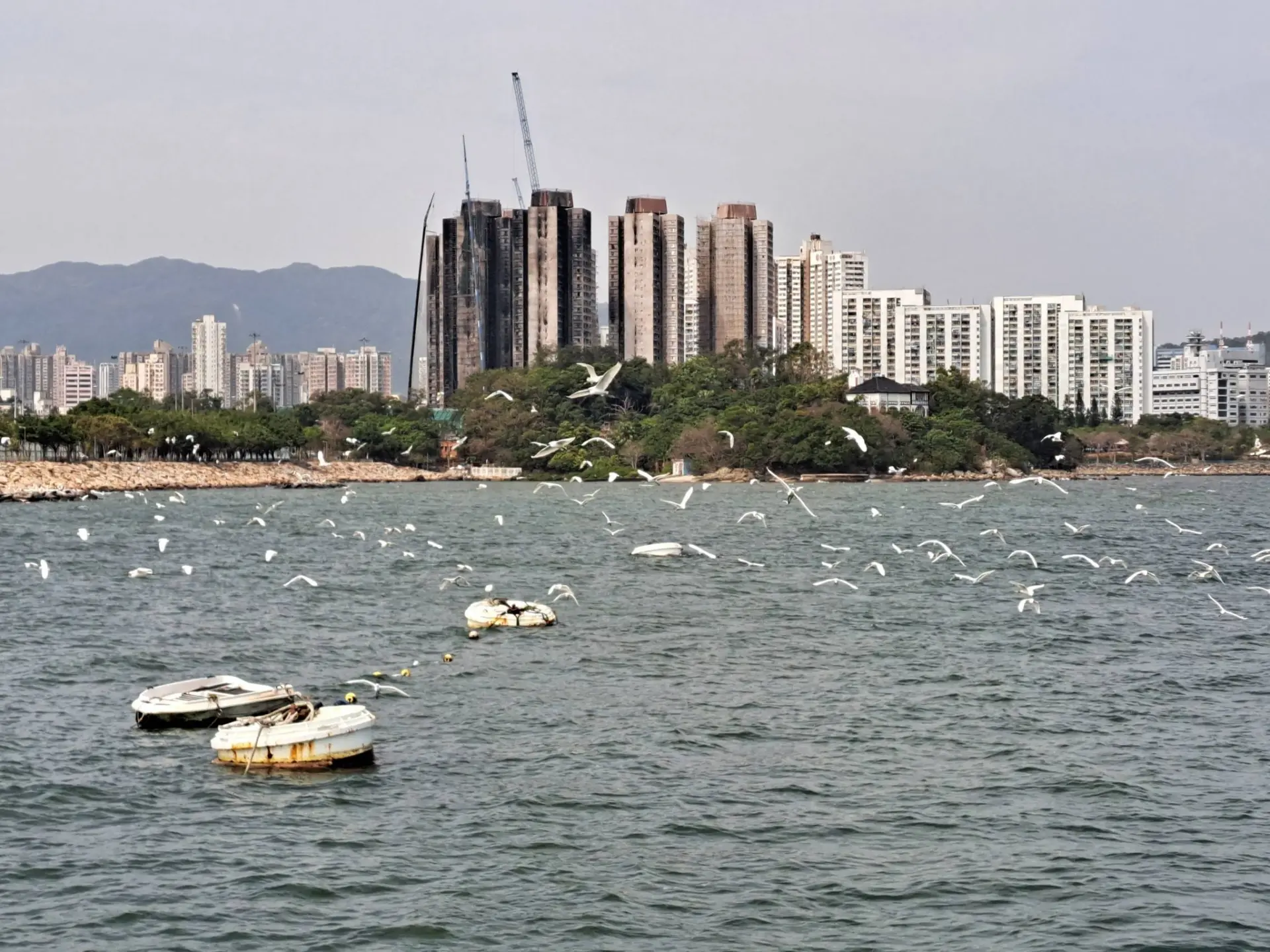 原址重建不是按一個掣就會出現的新樓，當中牽涉多重程序：結構與地基重新評估、清拆、規劃改動、設計、環評、招標、施工，再加上保險與責任的法律爭議。(圖：網絡截圖)