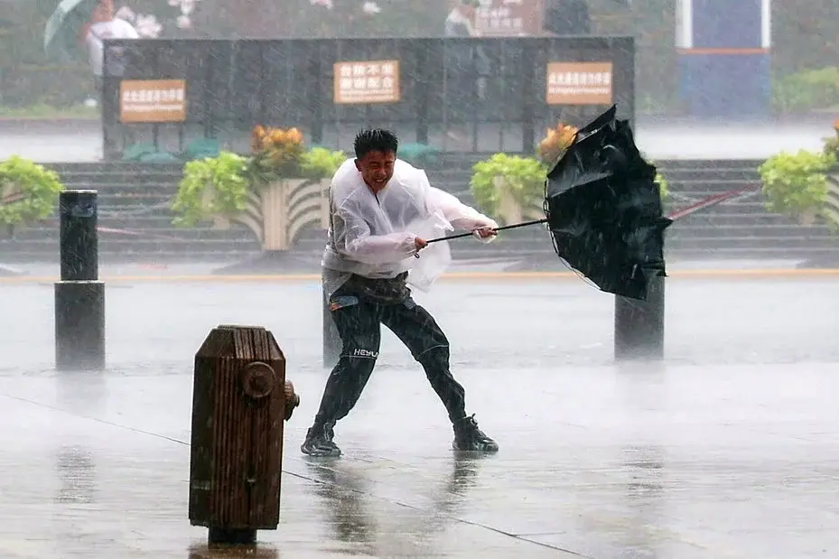 颱風白海豚為華東地區帶來強勁風雨，圖為8月9日上海黃浦區一名男子頂風出行，雨傘都被風吹到開花。新華社