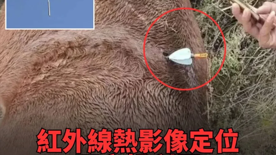 中國內地興無人機獵殺野生動物潮 飼養動物被接連誤殺 危機四伏的封面圖片