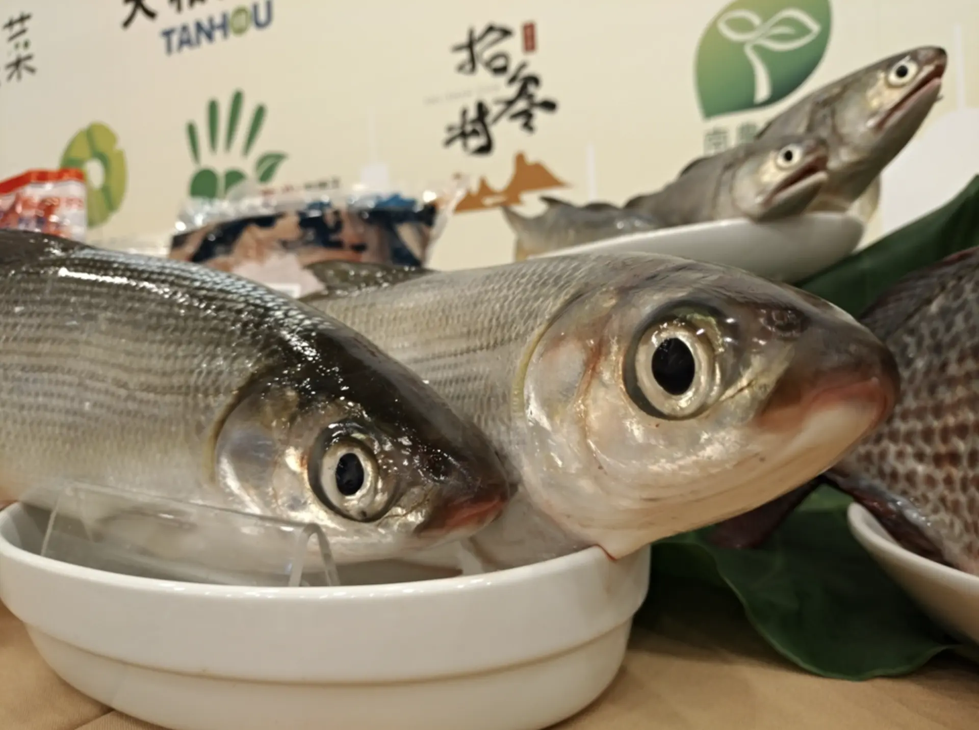 全力幫助百萬農民與漁民守住生計，推動過去對美出口的虱目魚、吳郭魚、芒果、蝴蝶蘭等農漁產品轉銷中國大陸，這對僅能依賴農漁業維生的南台灣民眾而言，無異就是保障生計的「救命稻草」。(圖：網絡截圖)