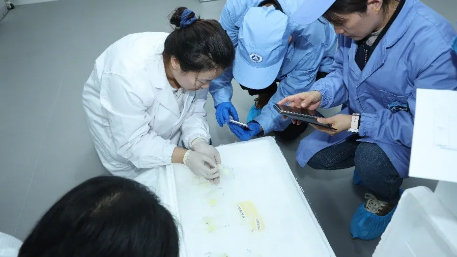 神舟二十一号帶回93.3斤太空特產！26項實驗樣品揭開深空生存密碼  4隻小鼠太空生活14天創紀錄！的封面圖片