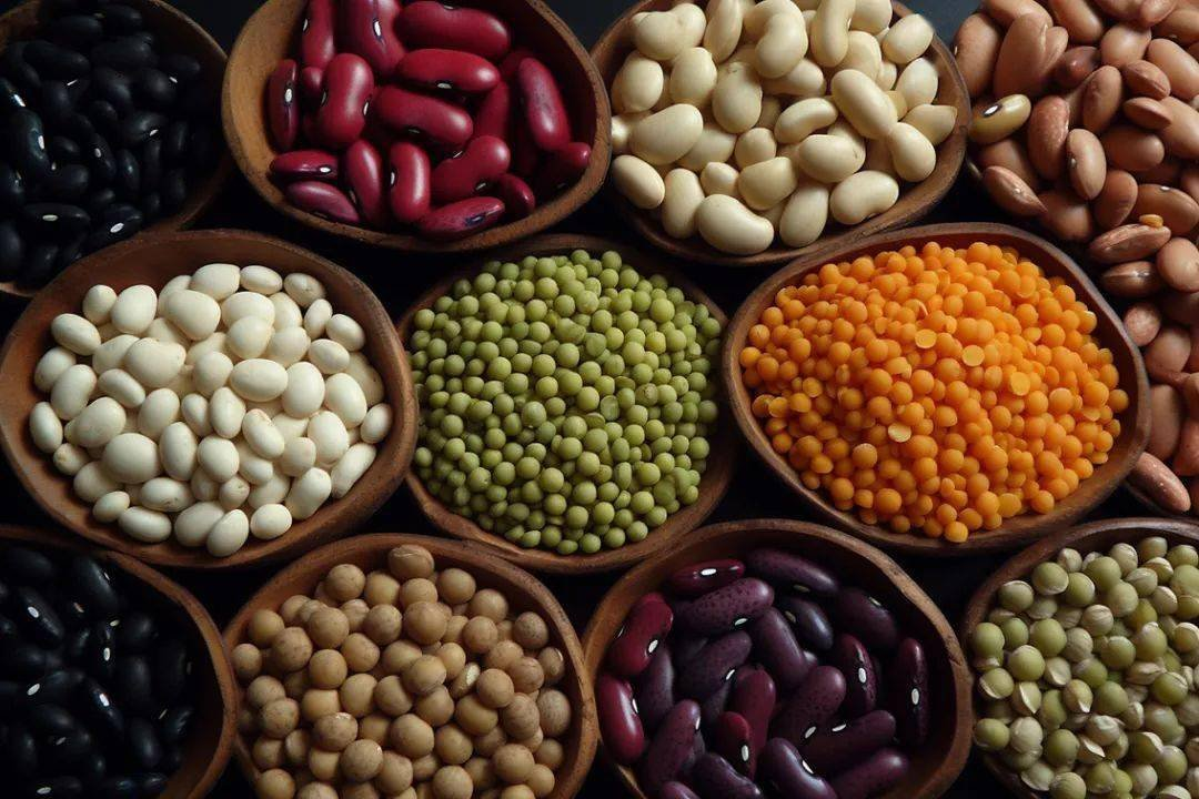 豆子（示意圖來源：網絡）