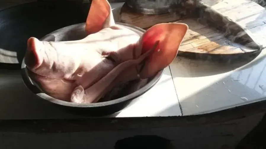 重慶村花「呆呆」家豬出圈意外帶火民俗，原來刨豬湯這麼有料的封面圖片