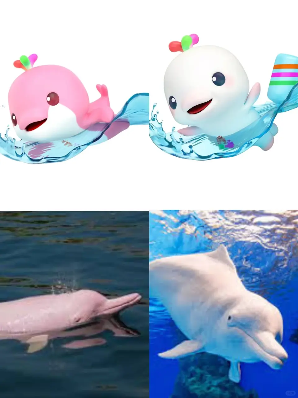 「大灣雞」的計靈感，以中華白海豚為原型，不僅融入了嶺南獨特的「雞」文化，還藏著大灣區地標元素，諧音「吉」更是滿滿的祈福寓意，難怪能讓大家這麼喜愛。（來源：小紅書）