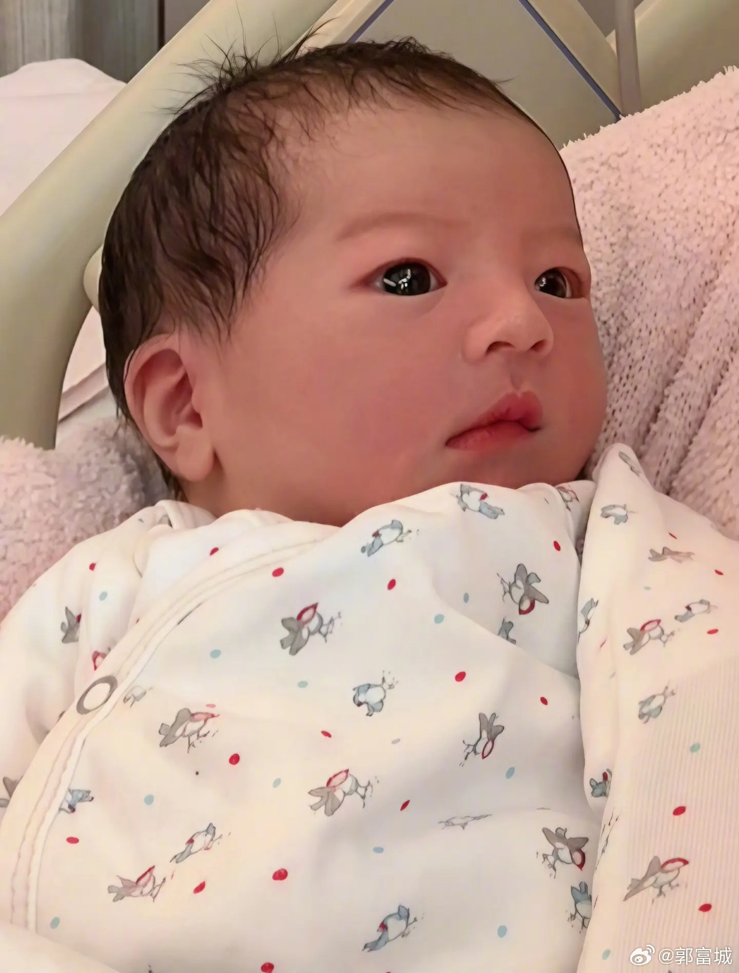 據報導這名女嬰於10月下旬提前報到，體重約6.5斤（約3.25公斤），母女平安。郭富城當天親自駕車，與岳父母一同現身香港養和醫院，接寶寶回家。(圖：郭富城@微博)