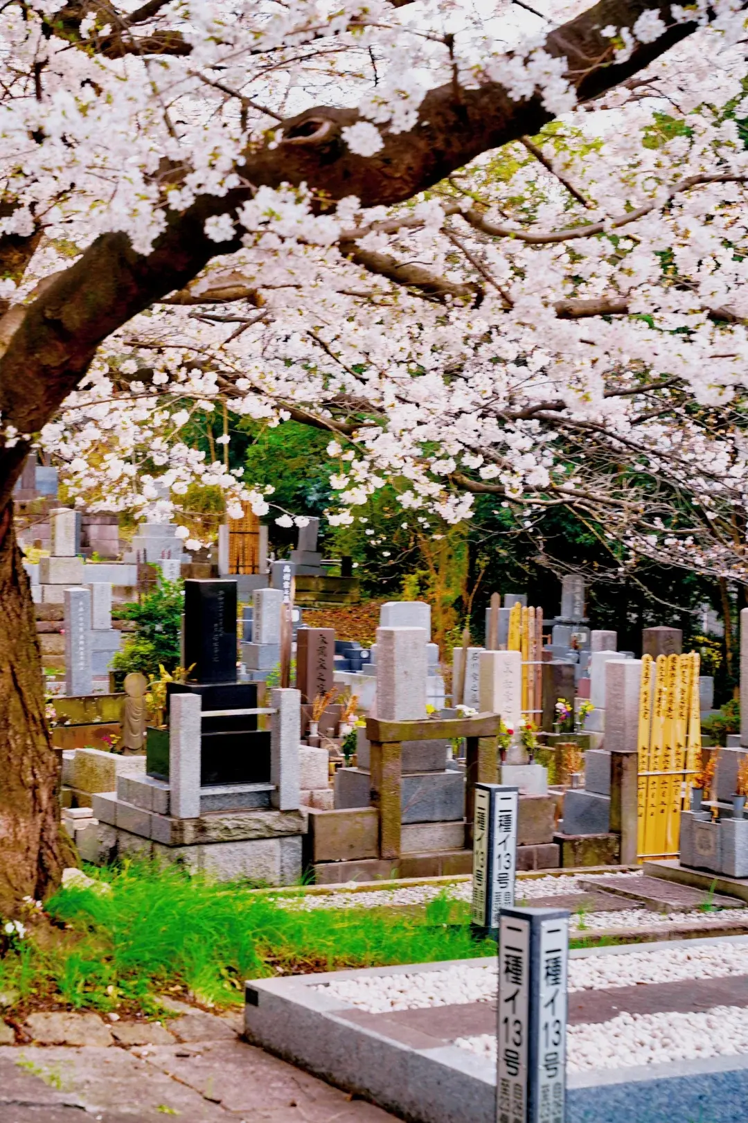 地區差異更為這股風潮添了層細節——東日本民眾更偏愛西式風格，西日本則依舊對傳統日式墓碑保有好感。 （示意圖來源：小紅書網友）